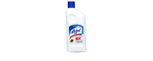 Lizol Disinfectants Pine Surface Cleaner 