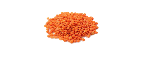 Masoor Dal Premium